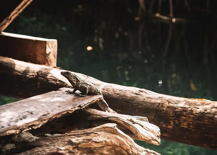 Luxuszelt Uman Glamping & Cenote
