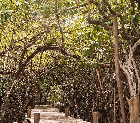 Uman Glamping & Cenote Luxuszelt