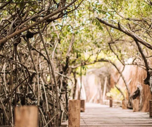 Luxuszelt Uman Glamping & Cenote *