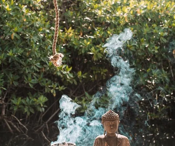 Uman Glamping & Cenote