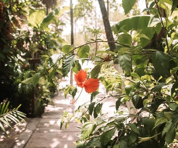 Uman Glamping & Cenote Luxuszelt Tulum
