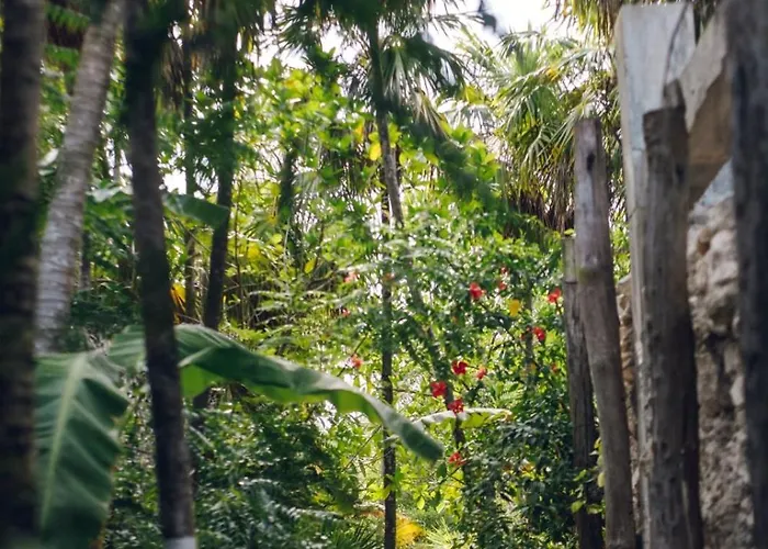 Uman Glamping & Cenote *
